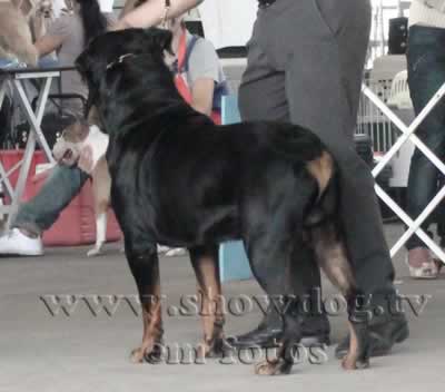 Clique sobre a foto para fechar